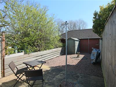 Picture 8